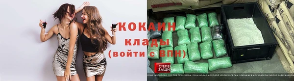 apvp Алексин