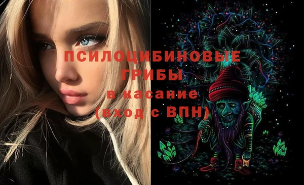 apvp Алексин