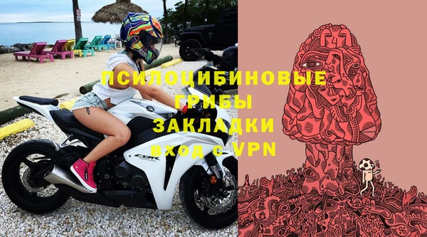 а пвп мука Алзамай