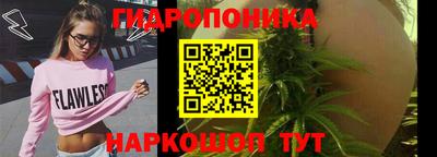 прущие крисы Пугачёв
