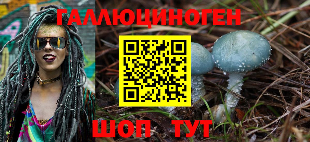 Галлюциногенные грибы Cubensis  Вход с VPN  Чайковский 