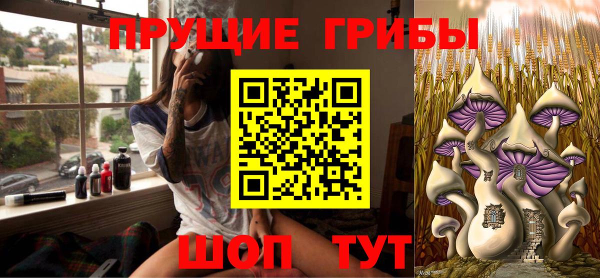 Галлюциногенные грибы Psilocybine cubensis Чайковский
